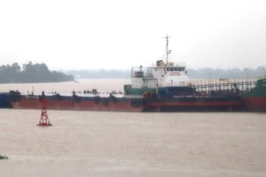 Bão số 4 đang vào, Nghệ An, Hà Tĩnh đã có mưa lớn