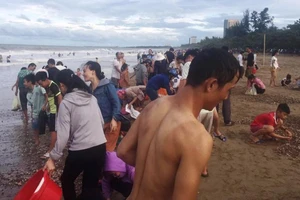Người dân ào ra bãi biển vớt 'lộc trời' sau bão số 4