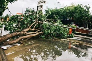 Gió lốc cuốn nhiều mái nhà, làm cây gãy ách tắc quốc lộ 7A