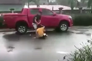 Xôn xao clip người đàn ông đánh vợ cũ tại sân bệnh viện 