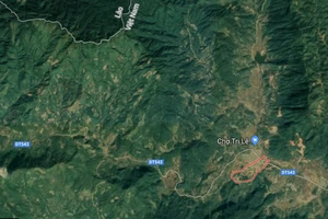 Cứu sống người phụ nữ ăn lá ngón vì giận chồng