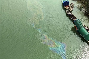 Xuất hiện vệt dầu loang đầu nguồn nước sông Lam