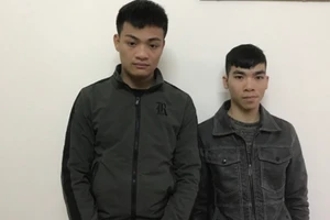 Khởi tố 2 người giả danh du học sinh Nhật chiếm đoạt tiền tỉ