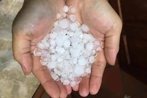 Bất ngờ xảy ra mưa đá kèm lốc xoáy mùng 1 tết 
