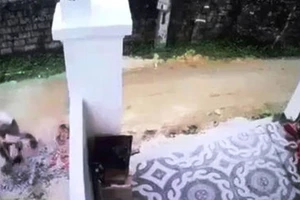 Tài xế lùi xe làm bé 20 tháng tuổi chết: Giả vờ giúp tìm bé