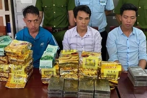 Vận chuyển thuê hơn 20 kg ma túy đá để lấy công 80 triệu