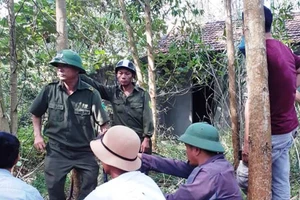 Hé lộ nguyên nhân bé 5 tuổi bị trói, chết tại ngôi nhà hoang