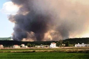 Hơn 1.000 người ngăn vụ cháy rừng lan xuống sát nhà dân 