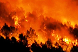 Đang cháy rừng, lửa bốc lên ngùn ngụt bên quốc lộ 1A