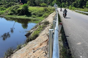 Trại heo ô nhiễm, heo chết: Phạt 320 triệu, yêu cầu khắc phục