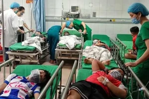 Phá tổ ong trong sân trường, 16 học sinh nhập viện