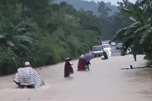 Mưa lớn, đường Hồ Chí Minh và nhiều nhà dân ở Nghệ An bị ngập 