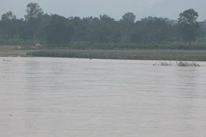 Phát hiện thi thể người phụ nữ mất tích 10 ngày trước