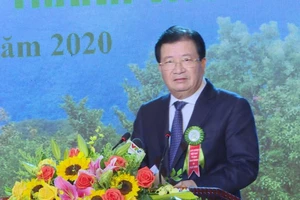 Ngành lâm nghiệp trồng 1 tỉ cây xanh trong 5 năm tới 