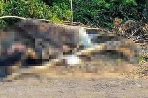 Phát hiện thi thể người đàn ông cháy sém gần nghĩa trang 