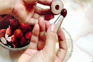 Nghệ An: Bé trai 4 tuổi tử vong do ăn quả vải bị hóc hạt