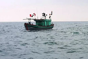 Phát hiện 1 tàu cá không có người lênh đênh trên biển 