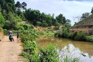 3 mẹ con rơi xe máy xuống ao, 2 người tử vong 