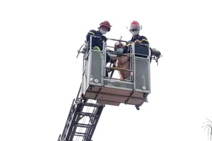 Giải cứu bệnh nhân 38 tuổi định nhảy tầng 2 bệnh viện tự tử