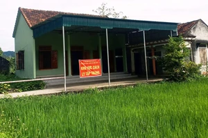 Để F1 về thăm vợ mới sinh, chủ tịch xã bị tạm đình chỉ công tác 