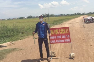 Đang cách ly tại nhà vẫn đi chăn bò ngoài đồng, bị phạt 5 triệu đồng