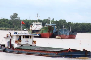 Nghệ An, Hà Tĩnh: Ứng phó với bão Conson, đảm bảo an toàn cho các khu cách ly