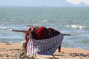 Nghệ An: Đón bà con về quê tránh bão, cấm biển từ 0 giờ 10-10