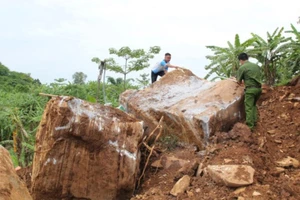 Nhóm người đào núi khai thác đá quý ở Nghệ An