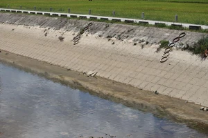 Nghệ An: Xác minh danh tính một thi thể dưới kênh thủy lợi