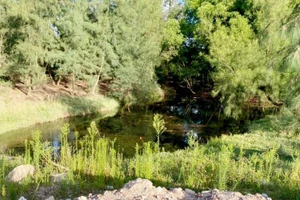 2 chị em ngã xuống hố nước đọng tử vong thương tâm