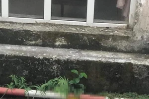 Thiếu niên rơi từ tầng 26 chạm mái tôn trước khi rơi xuống đất 