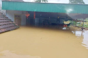 1 người chết, 1 người mất tích trong nước lũ khi đi bắt cá