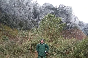 Bất ngờ tuyết phủ trắng miền núi Nghệ An như trời Tây