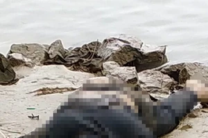 Công an tìm tung tích người đàn ông tử vong bất thường trên sông Lam