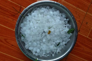 Xuất hiện mưa đá ở miền núi Nghệ An 