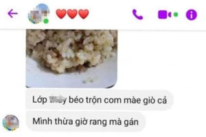 Bị tung tin nhắn trong nhóm kín ra ngoài, 5 cô giáo xin nghỉ việc