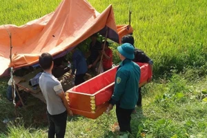 Máy gặt lúa bị lật làm 1 nông dân tử vong