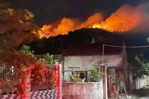 Nghi 4 người đi khảo sát điện gió hút thuốc gây cháy rừng ở Nghệ An