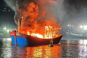 Cháy nhiều tàu đánh cá đang neo đậu, ngư dân gào khóc kêu cứu