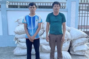 Phó Thủ tướng gửi Thư khen vụ bắt 2,5 tấn vảy tê tê và 2,1 tấn gỗ trắc