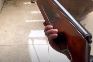 1 phụ nữ bị trúng đạn súng hơi khi ra đóng cổng