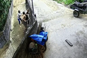 Án mạng sau khi uống rượu: Nỗ lực can ngăn của người phụ nữ bất thành 