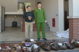 Mua beo đốm, xác khỉ chuẩn bị đón Tết thì bị bắt 
