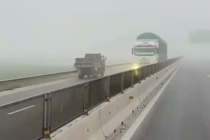 Tài xế chạy xe ngược chiều trên cao tốc bị phạt 7 triệu, tước bằng 6 tháng