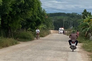 2 người thương vong vụ sạt lở đất dự án cao tốc Bắc-Nam