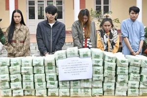 5 người Lào vận chuyển 70 kg ma túy vào Nghệ An
