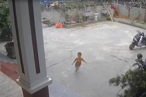 Giây phút nhanh trí của bé trai 3 tuổi tìm cách cứu bạn khỏi đuối nước 