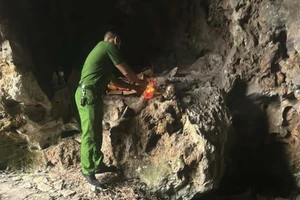 Công an phong toả, bảo vệ nghiêm ngặt khu vực phát hiện nhiều bộ xương, hộp sọ