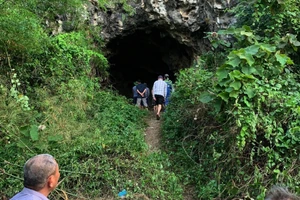 Thông tin mới vụ phát hiện nhiều hộp sọ và xương trong hang Lèn Chùa ở Nghệ An