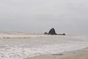 Lấy mẫu ADN để tìm tung tích nạn nhân trôi dạt vào bờ biển